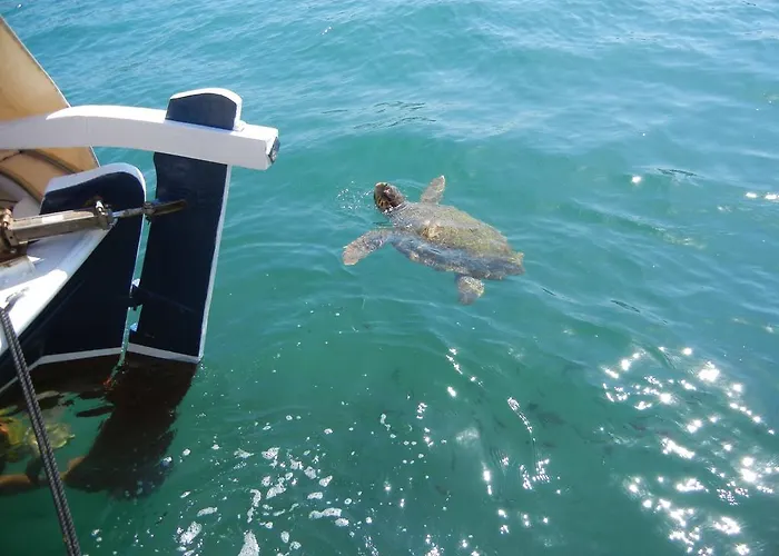 Aparthotel Poseidon 4*