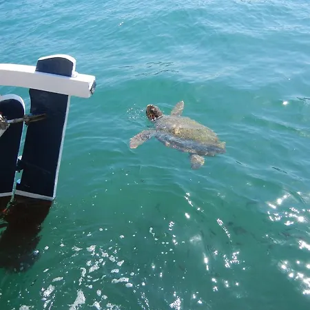 Apart-hotel Poseidon 4*