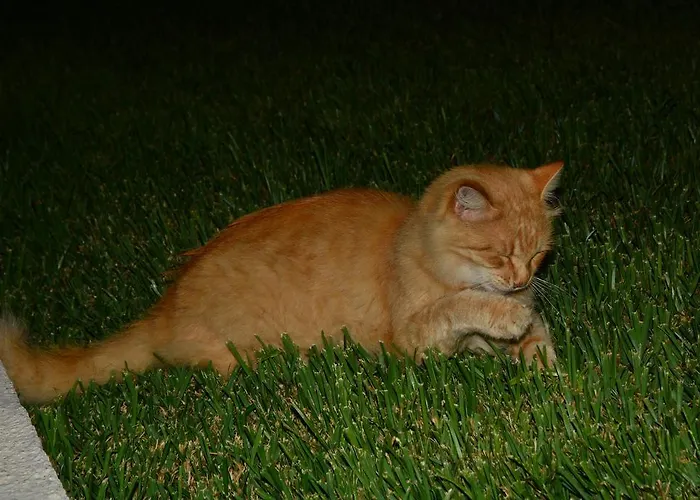 Poseidon Spartia (Kefalonia)